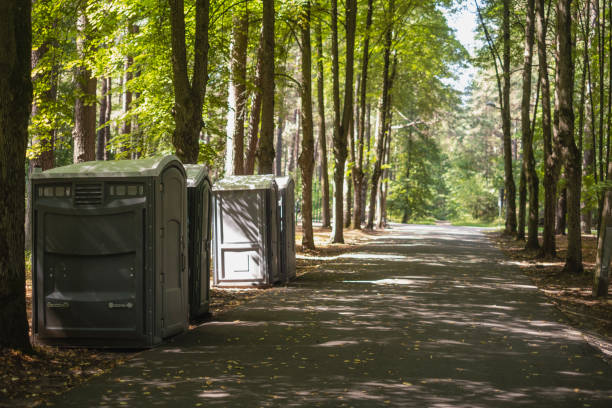 Portable Toilet Options We Offer in Caseyville, IL