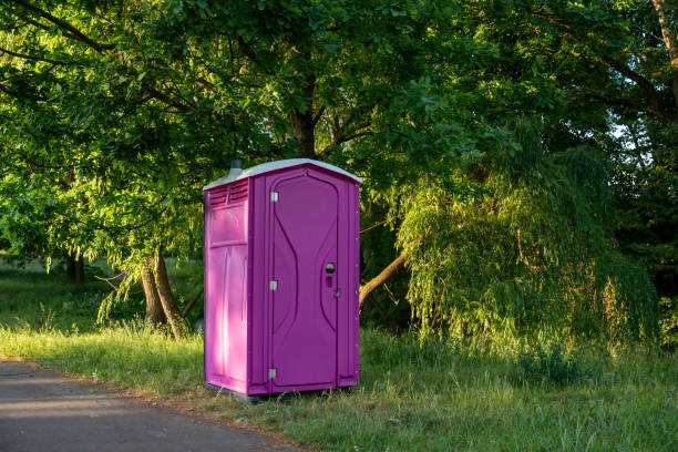 Best Affordable portable toilet rental  in Caseyvle, IL